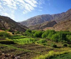 Vallée de l'Ourika 1