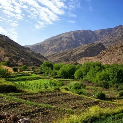 Vallée de l'Ourika 1