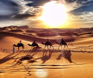 photo excurtion desert 3